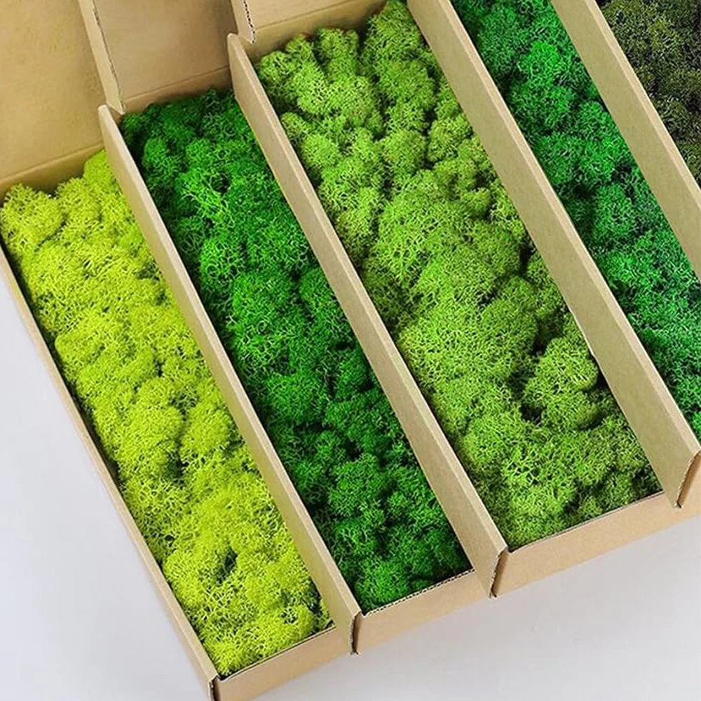 Terrarium Moss Art - Plantas verdes artificiales de 20-200g, hierba