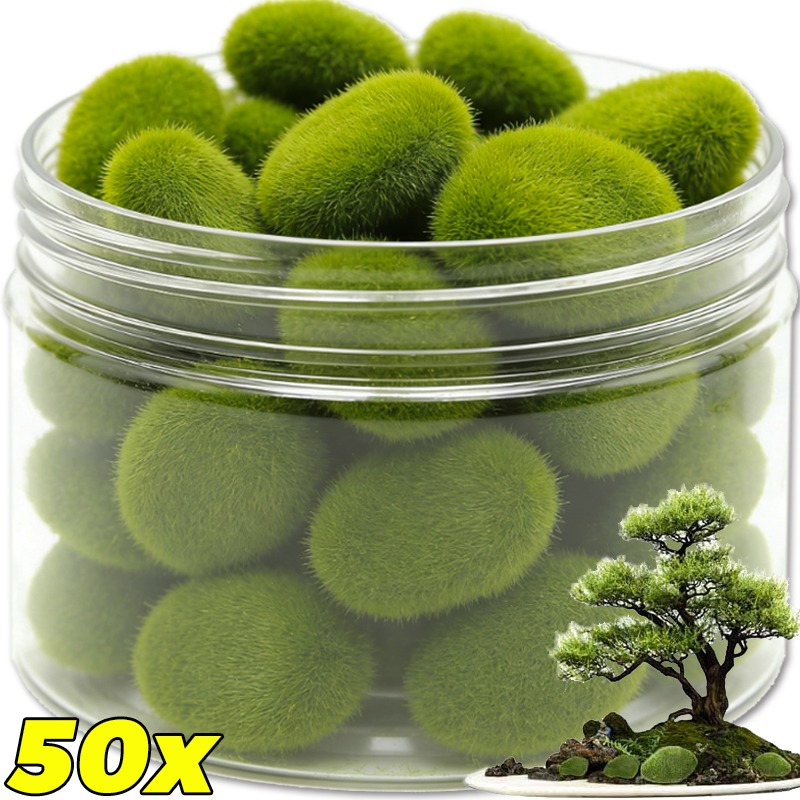Terrarium Moss Art - 50/5 Piezas de Rocas de Musgo