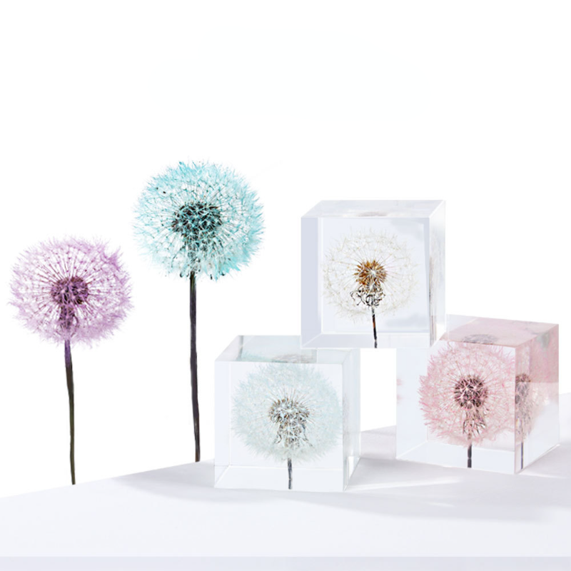 Diente de león preservado flor - Flower Preservation Resin reseña y precio