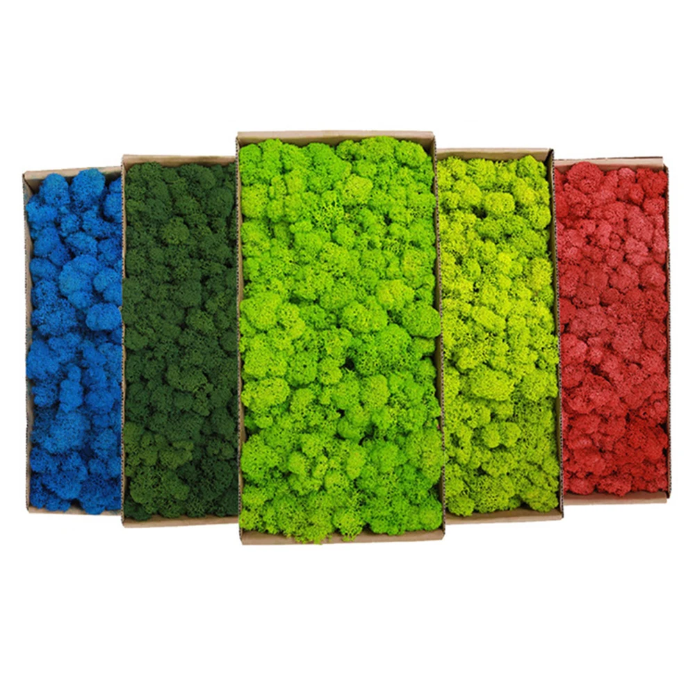 Plantas verdes artificiales de - Terrarium Moss Art reseña y precio