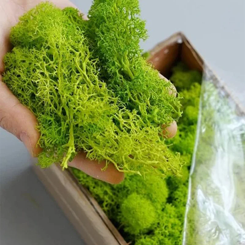 Plantas verdes artificiales de - Terrarium Moss Art reseña y precio