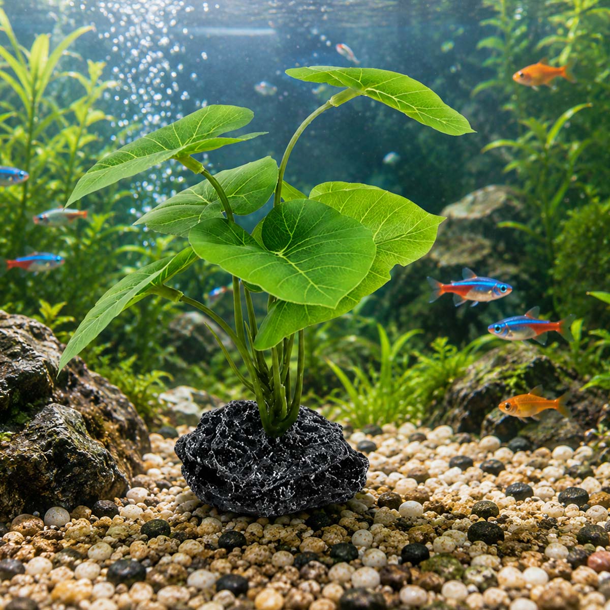 Planta artificial para acuario - Terrarium Moss Art reseña y precio