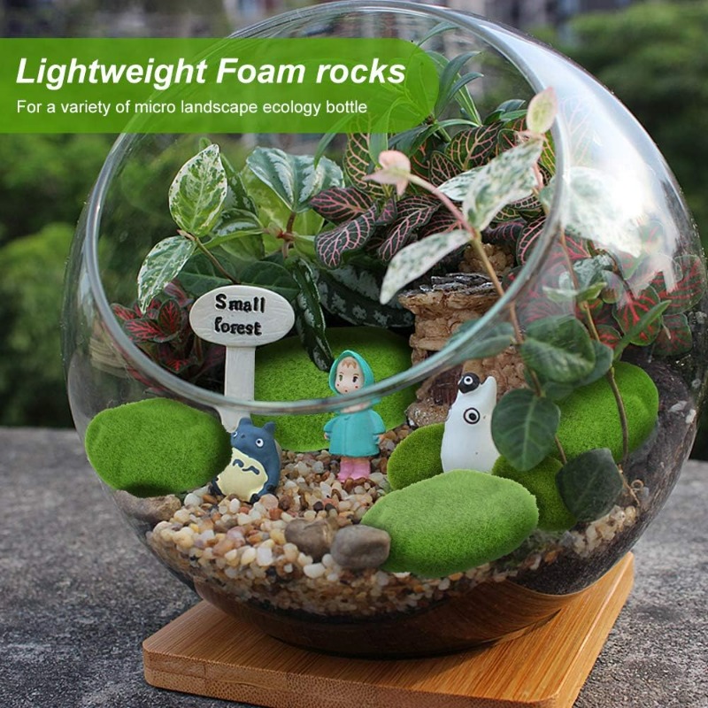 50/5 Piezas de Rocas de Musgo  - Terrarium Moss Art reseña y precio