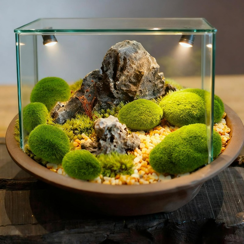 50/5 Piezas de Rocas de Musgo  - Terrarium Moss Art reseña y precio