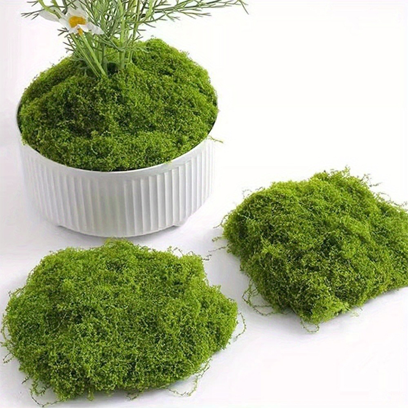Musgo falso verde, manualidade - Terrarium Moss Art reseña y precio